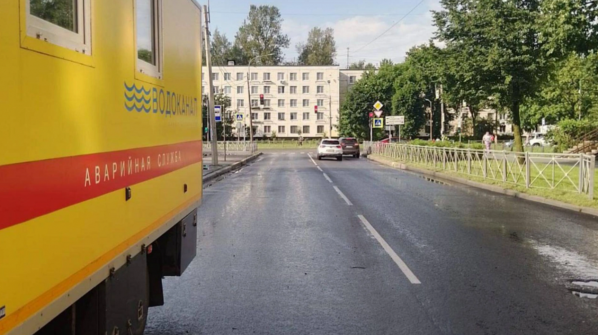 В Колпинском районе почти месячная норма осадков выпала за 20 минут
