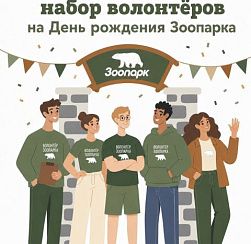 Объявляем набор волонтёров на День рождения Зоопарка