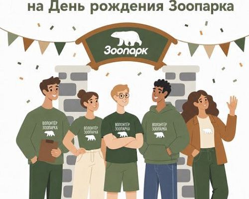 Объявляем набор волонтёров на День рождения Зоопарка