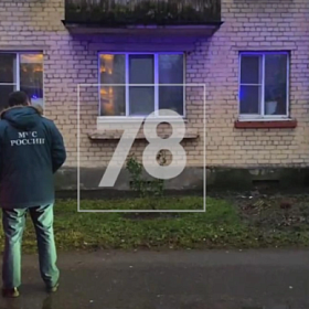 В пожаре на набережной Комсомольского канала погибли 2 кота