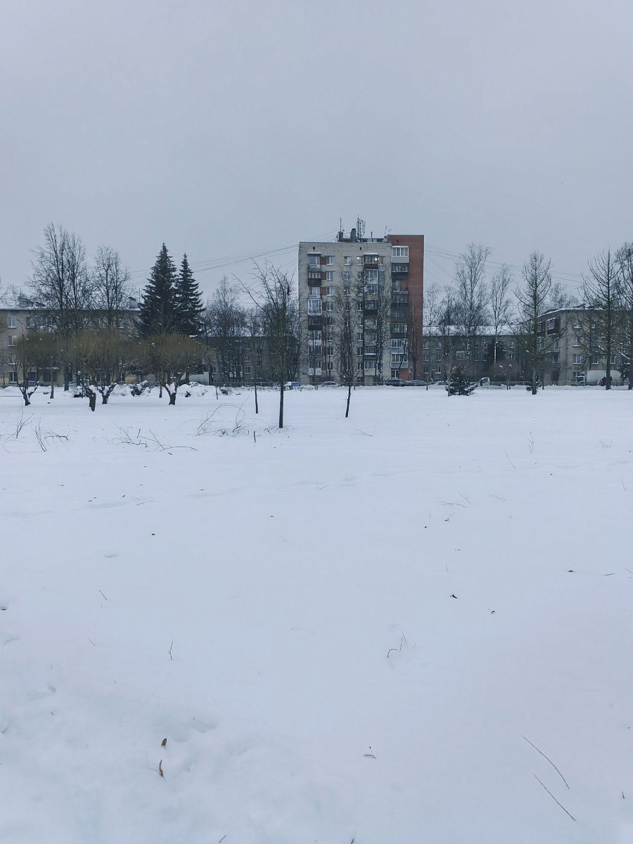 В Петербург пришли обещанные сильные морозы