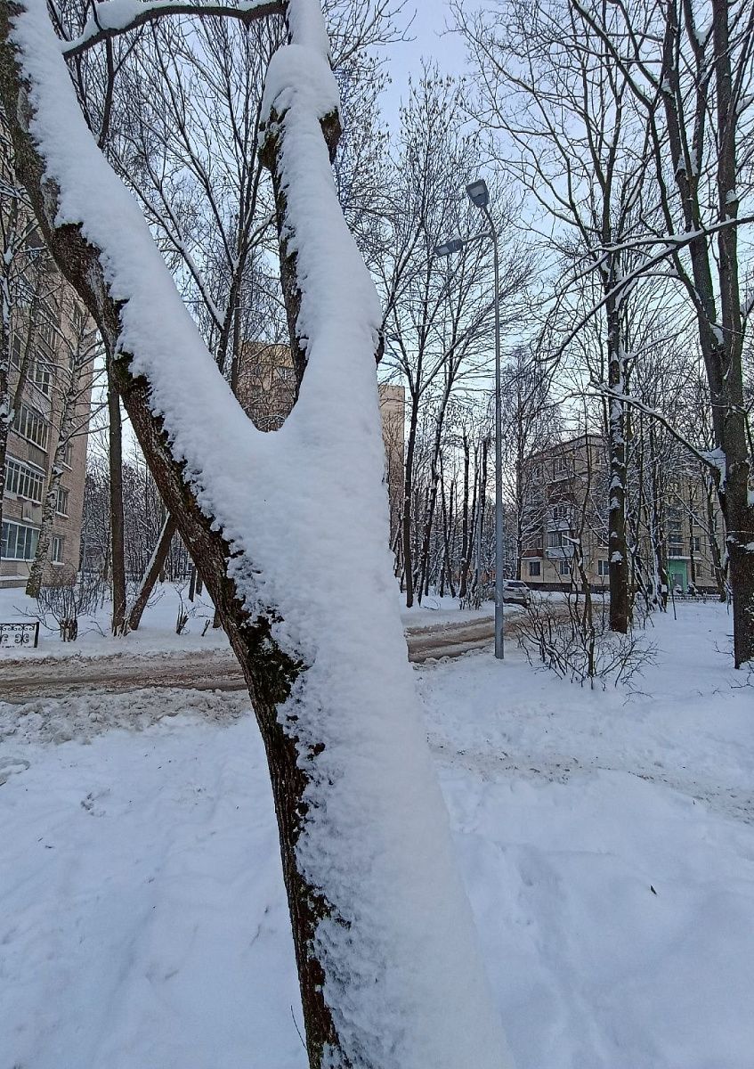 С конца декабря в Петербурге выпало почти 80 см снега