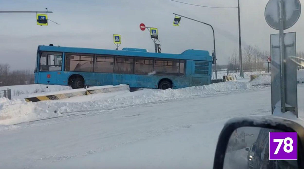 «Лазурный» автобус встал на дыбы на Рубежном шоссе в Колпино