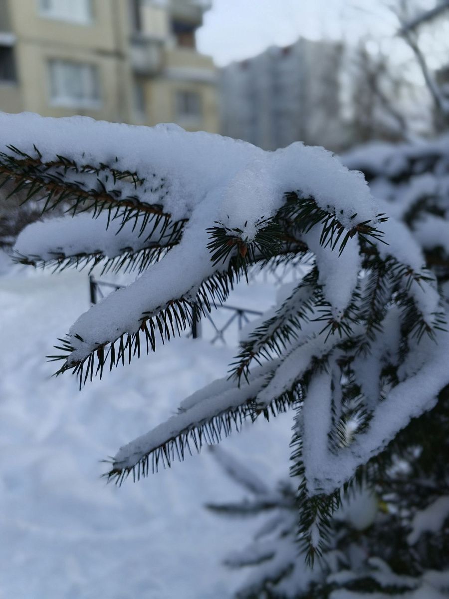 Балканский циклон принёс в Петербург метели и порывистый ветер