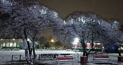 Долгожданный снег и похолодание придут в Северную столицу в пятницу