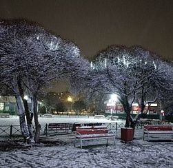 Долгожданный снег и похолодание придут в Северную столицу в пятницу Долгожданный снег и похолодание придут в Северную столицу в пятницу