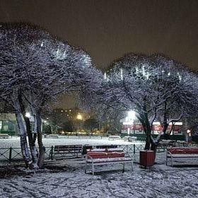 Долгожданный снег и похолодание придут в Северную столицу в пятницу Долгожданный снег и похолодание придут в Северную столицу в пятницу