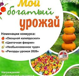 Мой богатый урожай