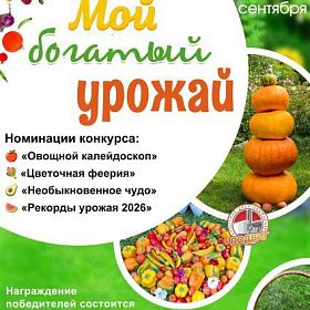 Мой богатый урожай