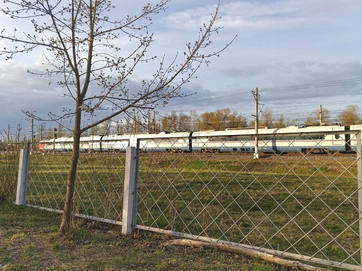 В Петербург пришел атмосферный фронт с кратковременными дождями