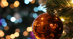 В РФ выявили всплеск мошенничества с «заснеженными ёлками»