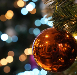 В РФ выявили всплеск мошенничества с «заснеженными ёлками»