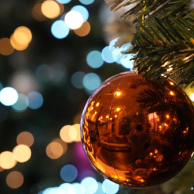 В РФ выявили всплеск мошенничества с «заснеженными ёлками»