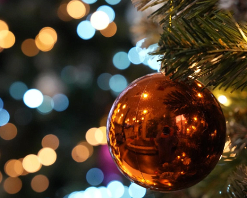 В РФ выявили всплеск мошенничества с «заснеженными ёлками»