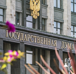 В ГД предложили провести уроки по профилактике мошенничества в школах