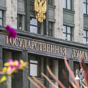 В ГД предложили провести уроки по профилактике мошенничества в школах