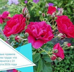 Новые правила охраны труда: что изменится с 31 августа 2026 года