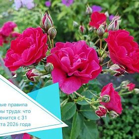 Новые правила охраны труда: что изменится с 31 августа 2026 года