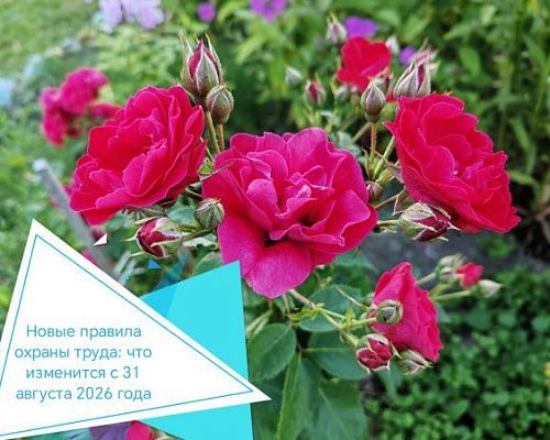 Новые правила охраны труда: что изменится с 31 августа 2026 года