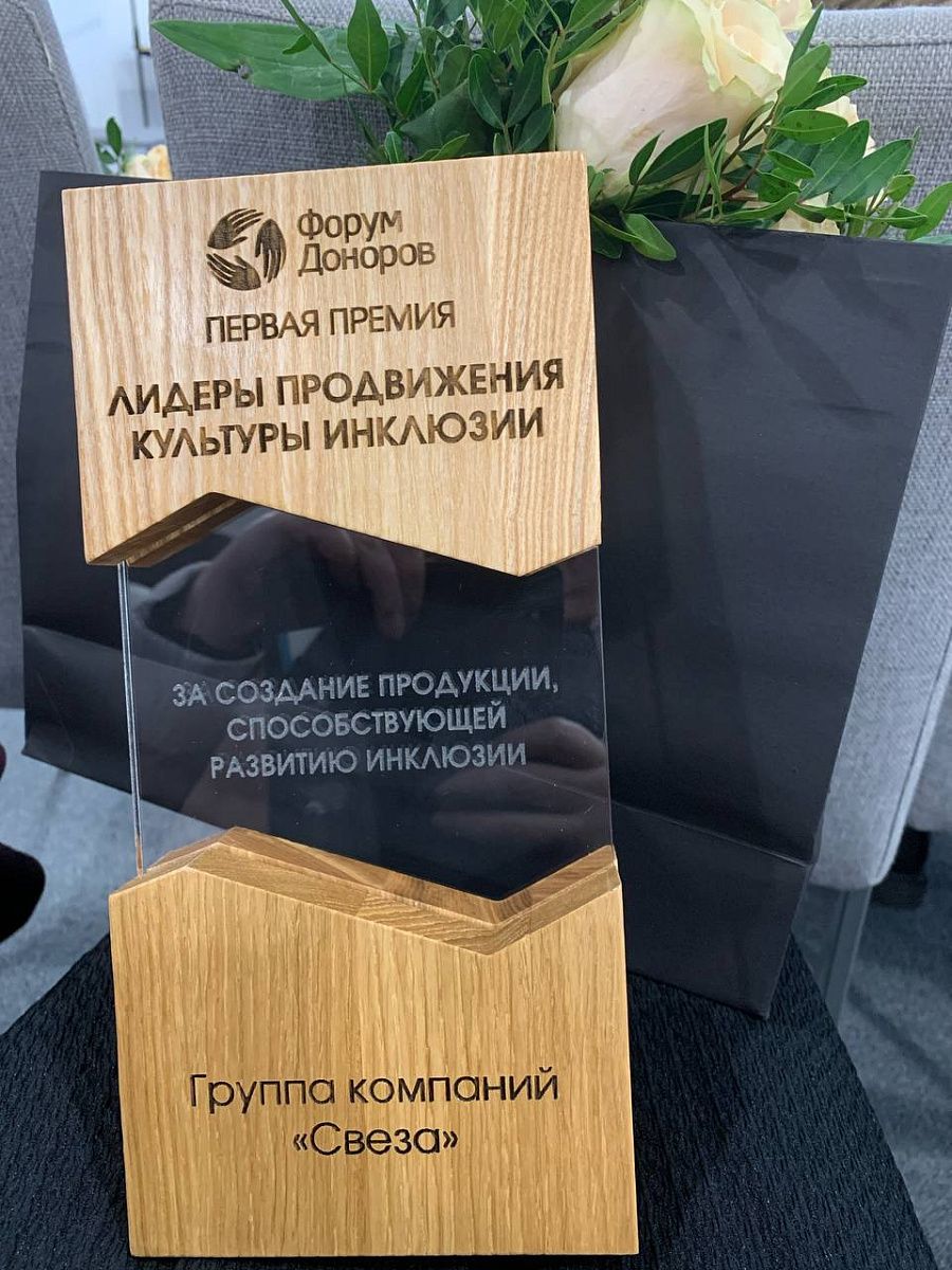 Инклюзивный проект «Свезы» отмечен премией «Форума Доноров»