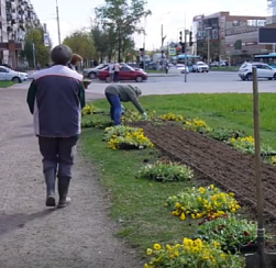 «Колпинское» дарит цветы ветеранам и городу