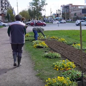 «Колпинское» дарит цветы ветеранам и городу
