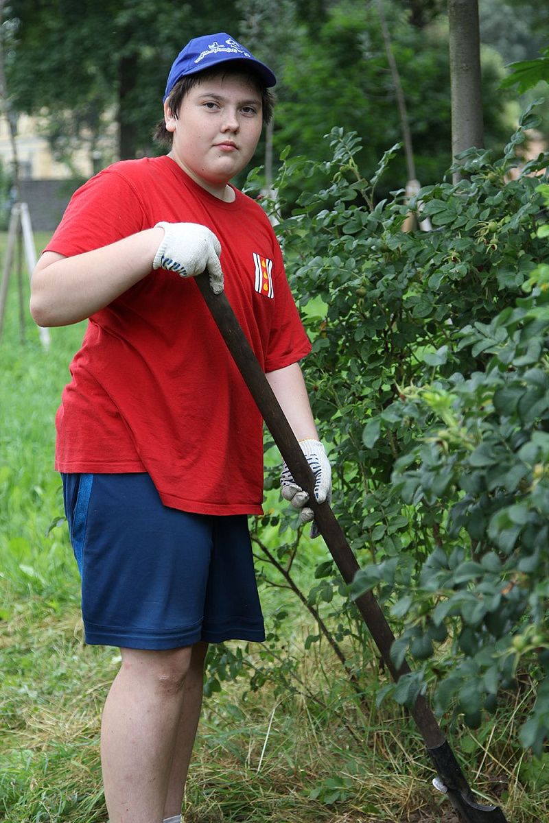 «Пчелки» убирают город