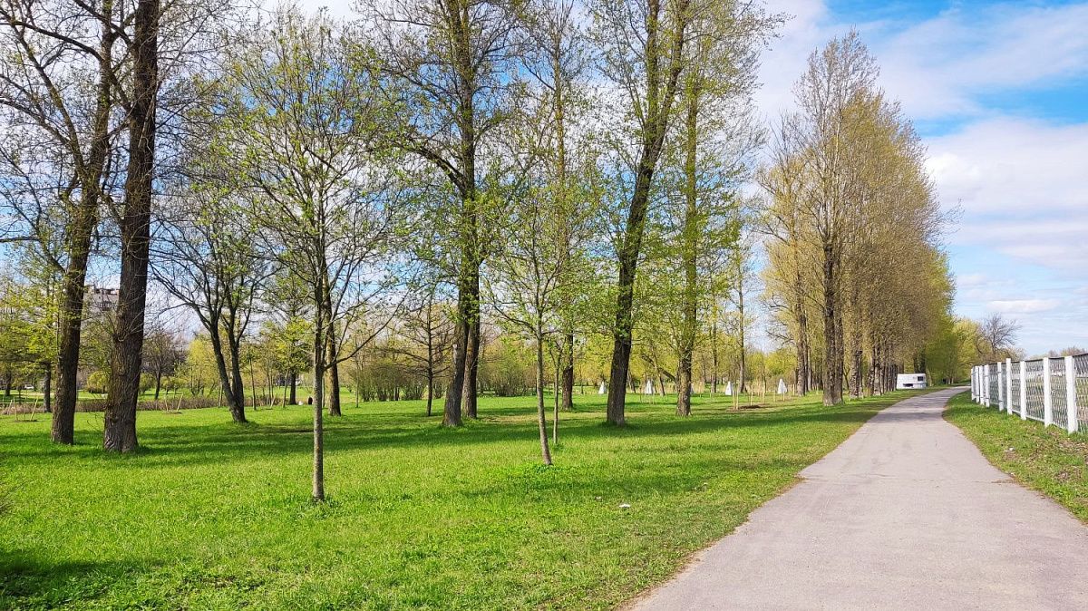 Дуэт циклонов принёс в Петербург дожди и прохладу