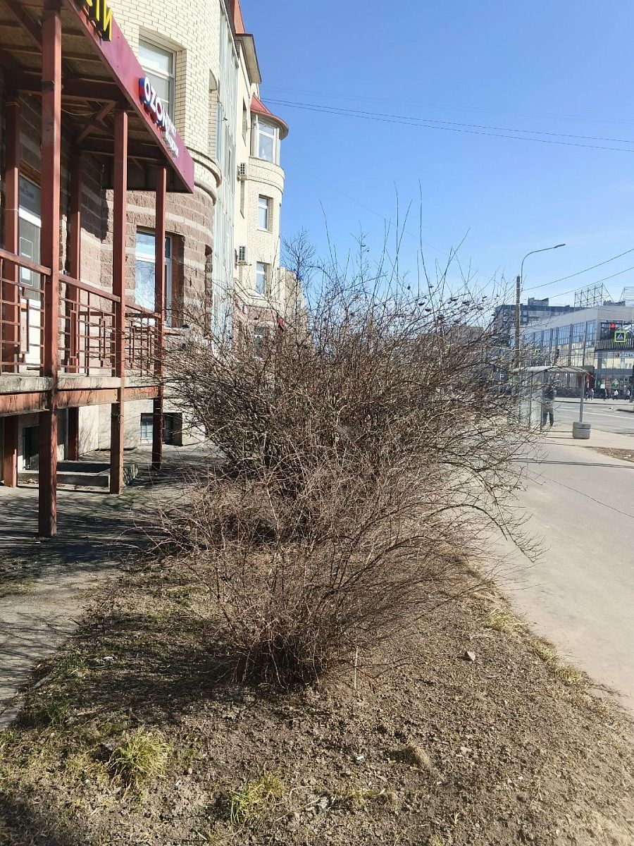 В Петербург возвращаются дожди