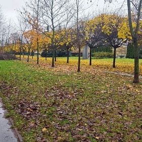 Аномальное тепло и дожди пришли в Петербурге после праздников Аномальное тепло и дожди пришли в Петербурге после праздников