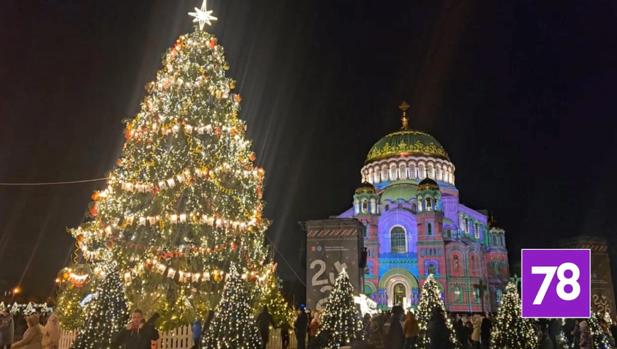 Ель на Якорной площади лидирует во всероссийском голосовании конкурса «Ёлки России»