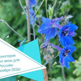  Черногория вводит визы для россиян с 1 ноября 2026 года