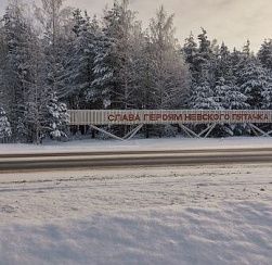 Авиабомбу времён войны нашли на территории Невского пятачка