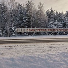 Авиабомбу времён войны нашли на территории Невского пятачка