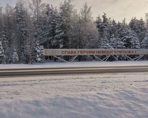 Авиабомбу времён войны нашли на территории Невского пятачка