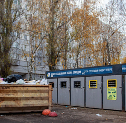 Ветки, листву и строительный мусор запретят выбрасывать в контейнеры для ТКО в Петербурге