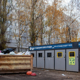 Ветки, листву и строительный мусор запретят выбрасывать в контейнеры для ТКО в Петербурге