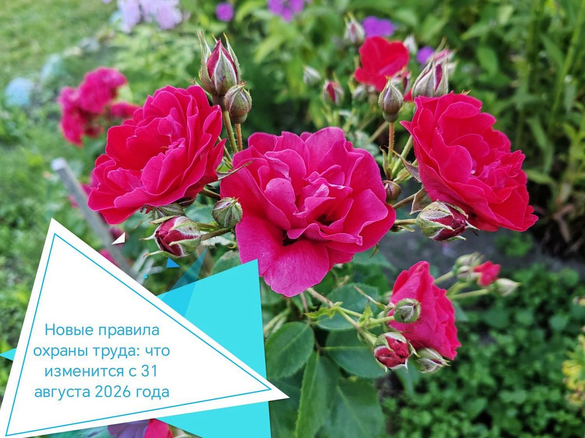 Новые правила охраны труда: что изменится с 31 августа 2026 года
