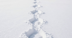 Группа из семи туристов пропала на Камчатке