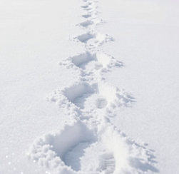 Группа из семи туристов пропала на Камчатке