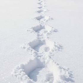 Группа из семи туристов пропала на Камчатке