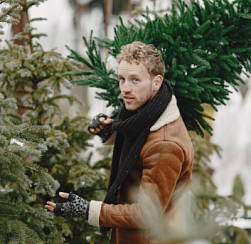 В Ленобласти можно до 10 января бесплатно забрать домой новогоднюю ёлку