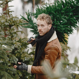 В Ленобласти можно до 10 января бесплатно забрать домой новогоднюю ёлку