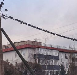 Снег и холода придут в Северную столицу в понедельник