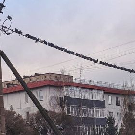 Снег и холода придут в Северную столицу в понедельник