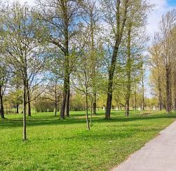 Дуэт циклонов принёс в Петербург дожди и прохладу Дуэт циклонов принёс в Петербург дожди и прохладу