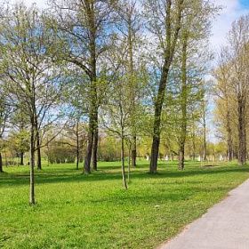 Дуэт циклонов принёс в Петербург дожди и прохладу