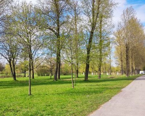 Дуэт циклонов принёс в Петербург дожди и прохладу