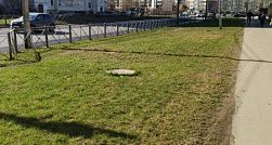 Петербуржцев пригласили присоединиться к «Доброму субботнику»