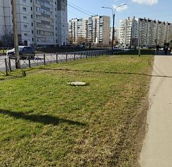 Петербуржцев пригласили присоединиться к «Доброму субботнику»